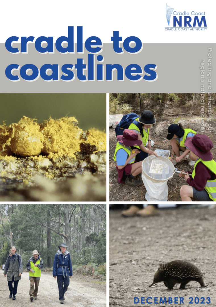 Cradle to Coastlines – December 2023